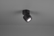 Потолочный светильник Trio TAURUS 5W 450lm 3000K (652910132) - изображение 6