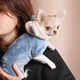 Костюм для собак Pet Fashion «Alf» XXS (джинс) - изображение 3