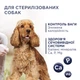 Cухий корм для собак Club 4 Paws Premium Adult Light Medium & Large Breeds 5 кг - індичка - изображение 2