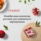 Набор для выращивания Экокубик Гранат LK 114-10817367 - изображение 2
