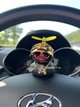 Автомобильная утка у шоломі с автоматом Шалена качка, 11001 - зображення 2