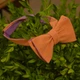 Галстук-бабочка Bow Tie House льняная двухсторонняя (абрикосовый;фиолетовый) 05948 - изображение 12
