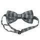 Метелик Bow Tie House сірий з блакитною смужкою 03120 - зображення 2