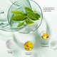Маска для лица зеленый чай Guanjing Green Tea Clay Mask Stick глубокое очищение, сужение пор, увлажнение - изображение 6