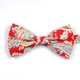 Бабочка Bow Tie House красная с узором в турецкие огурцы 10157 - изображение 1
