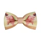 Бабочка Bow Tie House зеленая с китайской свинкой 2019 - новогодняя 10131 - изображение 1