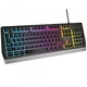 Клавиатура игровая Genesis NKG-1823 Rhod 300 RGB Backlight проводная USB 104кн черная - изображение 8