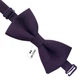 Метелик Bow Tie House баклажан маленький з габардіну 10511S - зображення 3