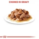 Royal Canin Hairball Care 0,085кг, для котов старше 1 года для уменьшения образования шерстяных комков - изображение 4