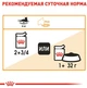 Royal Canin Intense Beauty in jelly, 0,085 кг — Вологий корм для котів - зображення 2