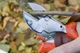 Секатор Lowe Original 5.104 с наковальней - изображение 2