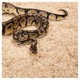 Субстрат з тополі Repti-Zoo Aspen Snake Bedding 2,4 л (SB001) для змій та копаючих рептилій - зображення 4