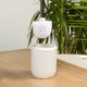 Ершик для унитаза МВМ MY HOME Milan Белый (BA-25 WHITE) - изображение 8