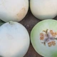 Семена Дыня Міра F1 10нас Kitano Seeds - изображение 2