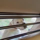 Перегородка в машину для собак Ferplast Dog Car Security 82х15х32-141х15х43 см (73200017) - изображение 4