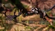 Ключ активации Away : The Survival Series для Xbox One/Series S/X - изображение 8