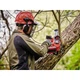 Цепная пила Einhell FORTEXXA 18/20 TH акум., PXC, 18В, 20 см, безщіт., 2.54 кг (без АКБ та ЗП) (4600020) - изображение 3