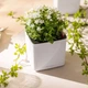 Умный вазон Lechuza Cube Glossy 14 Ярко-красный блестящий (13512) - изображение 7