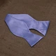 Галстук-бабочка Bow Tie House Basic светло голубая 00584 - изображение 2