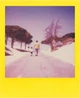 Фотоплівка Polaroid Color film for iType Summer Edition Double Pack (006278) - зображення 5