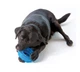Игрушка для собак Petstages Orka Alternative Dog Chew Toy орка шина (синяя) - изображение 3