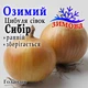 Лук севок озимый Сибирь Голландия 1 кг - изображение 1