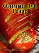 Лук севок озимый Радар (Radar F1) Голландия, 1 кг - изображение 10