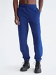 Спортивные штаны утепленные мужские Calvin Klein 258483005 XL Синие (1159785774) - изображение 1