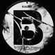 Виниловая пластинка Kaleo - A/B - изображение 4