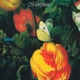 Виниловая пластинка&nbsp;Morphine – Good. 180 Gram - изображение 1