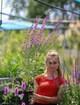 Дербенник прутовидный&nbsp;'Dropmore Purple'. Контейнер 3 л - изображение 4