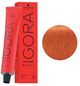 Farba do włosów Schwarzkopf Igora Royal 0-77 60 ml (4045787198959) - obraz 1