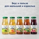 Сік органічний Fleur Alpine ЯБЛУКО ШИПШИНА 200 мл (8717903004067) - зображення 8