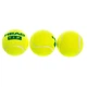 Мяч для большого тенниса HEAD TIP GREEN 578233 3шт салатовый - изображение 2