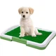 Туалет для собак та кішок Puppy Potty Pad - зображення 2