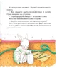 Мишеня Тім не хоче прибирати - 978-966-985-130-7 - изображение 5