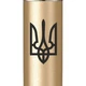 Кулькова ручка Parker Jotter 17 XL UKRAINE Matt Gold CT BP Тризуб 13432_T001b - зображення 3