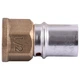 Муфта с внутренней резьбой пресс APE ITALY AP 102 1/2″х20 - изображение 1