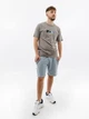 Мужская Футболка Ellesse Visageo Tee Серый M (7dSHR17633-109 M) - изображение 1