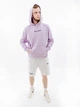 Мужское Худи HELLY HANSEN CORE GRAPHIC SWEAT HOODIE Фиолетовый XL (7d53924-699 XL) - изображение 1