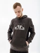 Мужское Худи HELLY HANSEN NORD GRAPHIC PULL OVER HOODIE Серый L (7d62975-981 L) - изображение 1