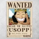 Плакат постер CupKit "Ван Пис / One Piece" №29 А4 21х29,7 см - изображение 1