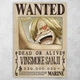Плакат постер CupKit "Ван Пис / One Piece" №23 А4 21х29,7 см - изображение 1