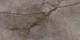 Плитка Bien Ceramica Root 60x120 ash poler rect - изображение 1