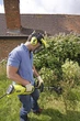 Триммер Ryobi RBC1020 (1 кВт) - изображение 4