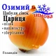 Лук-севок озимый Царица (Caryca) Голландия 1 кг - изображение 1