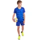 Форма волейбольна чоловіча Zelart P827 розмір 4XL зріст 185-190 см Blue-Yellow - зображення 8
