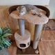 Кошачья когтеточка Вэнди домик с лежанкой для кошек 90х60х40см бежево коричневая - изображение 3
