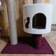 Кошачья когтеточка лазалка в домик с лежанкой для кошек кото 90х60х40см молочно бордовая - изображение 4
