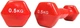 Комплект виниловых гантелей 50 Red 2 шт по 0,5 кг - изображение 2